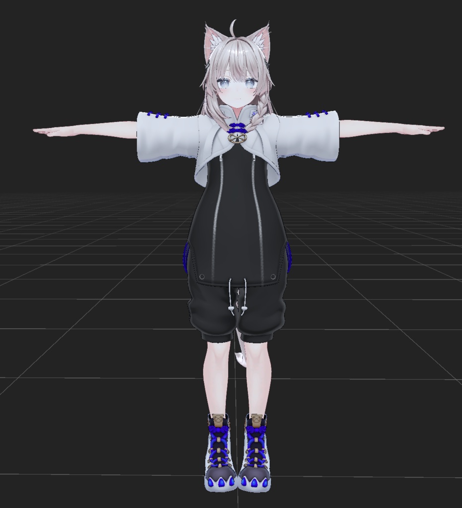 【両変換対応】ハオラン用もちふぃった~対応データ