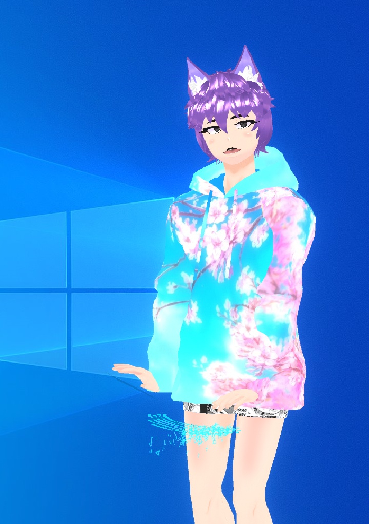 Sakura hoodie