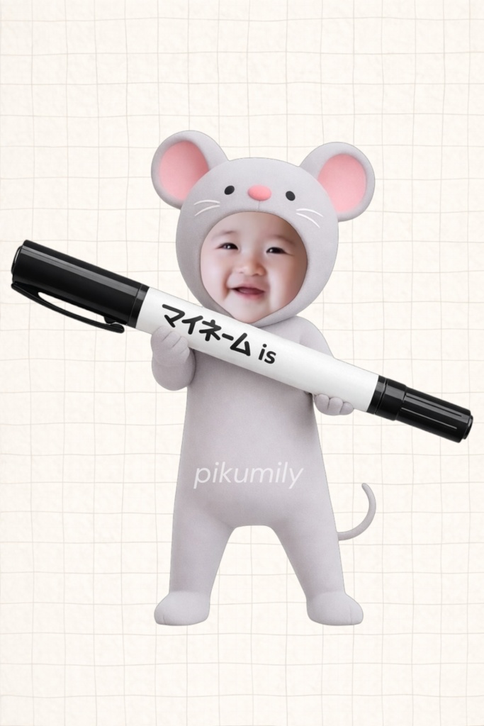 【4/8まで限定価格】ピクミリー文房具シリーズ|5点セット|顔はめ素材