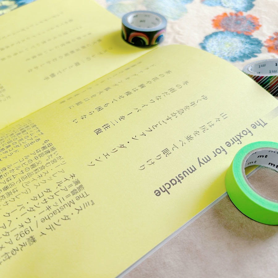 架空映画鑑賞句集『虹と指サック』