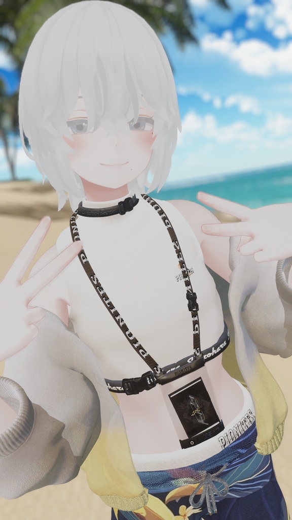 Pionites summer【5アバター、+Head 対応】