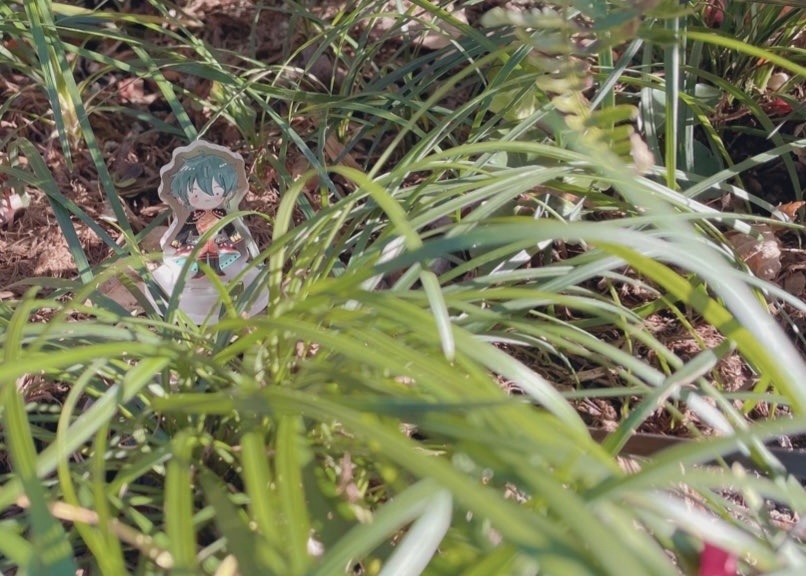 ちょうちょのみかのアクリルスタンド