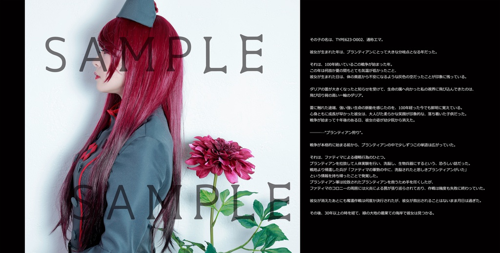 戦場ナース展フォトストーリーブック