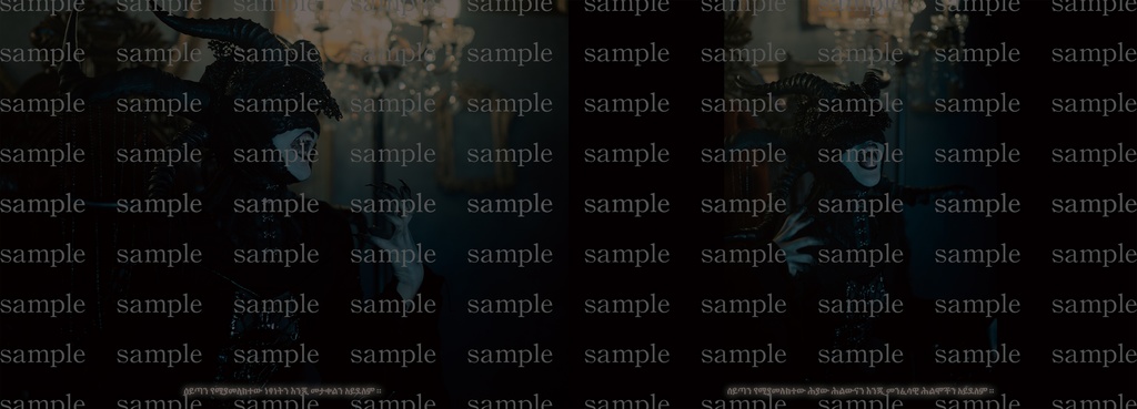 4396展示図録/翻訳シート&ポストカードセット