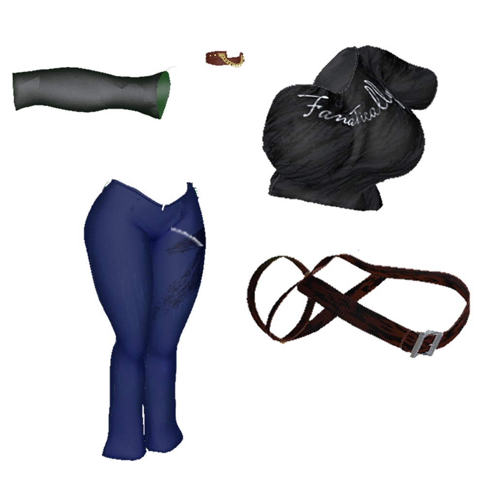 Lehner対応衣装 Fanatically