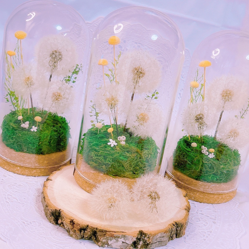 Wish Garden