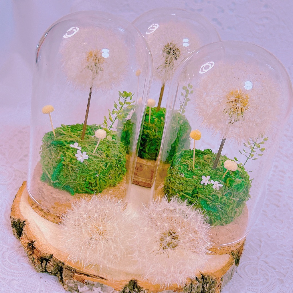 Little Wish Garden