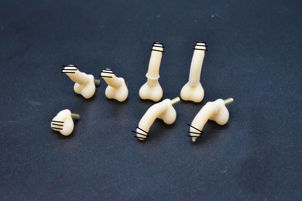 1/12フィギュア改造用おち〇ちん　シ〇タ剥けちんセット