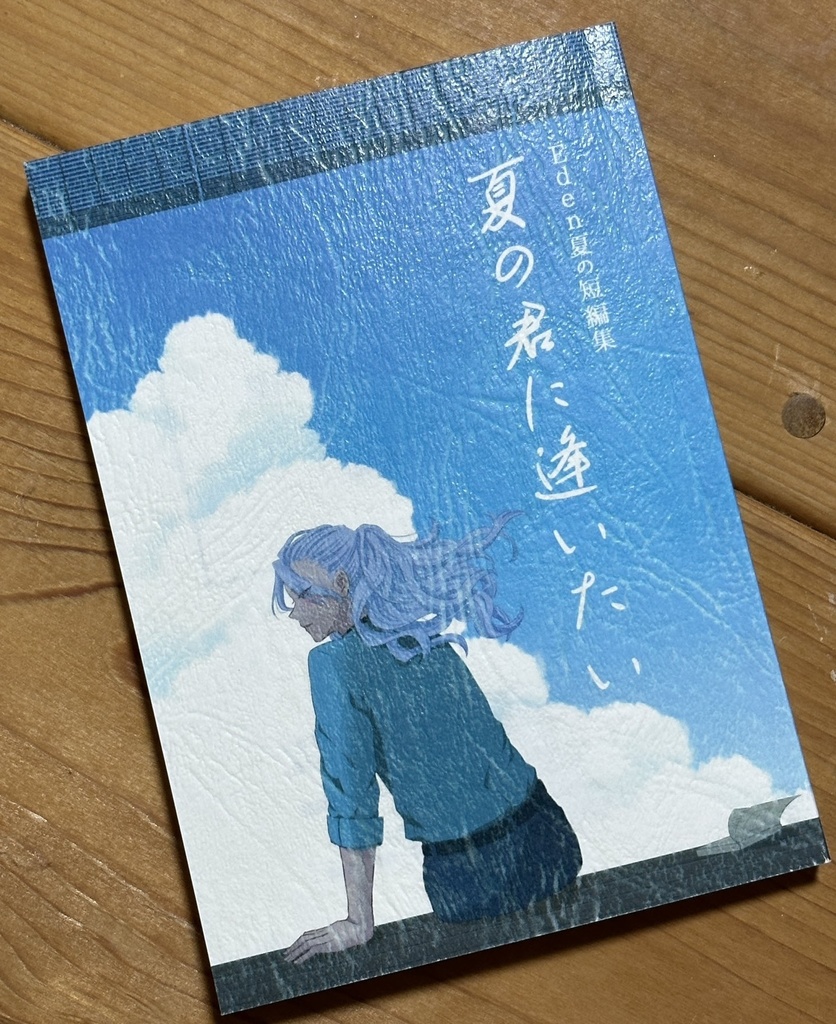 夏の君に逢いたい(Eden夢小説 夏の短編集)