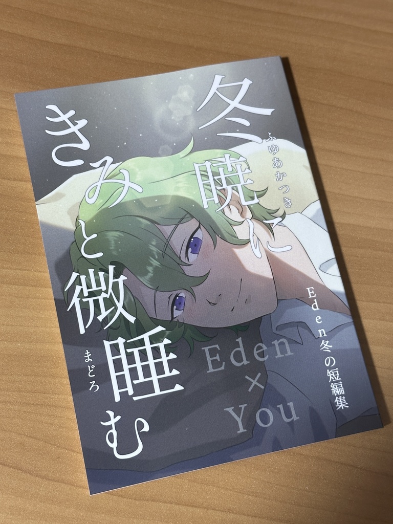 冬暁にきみと微睡む(Eden夢小説 冬の短編集)