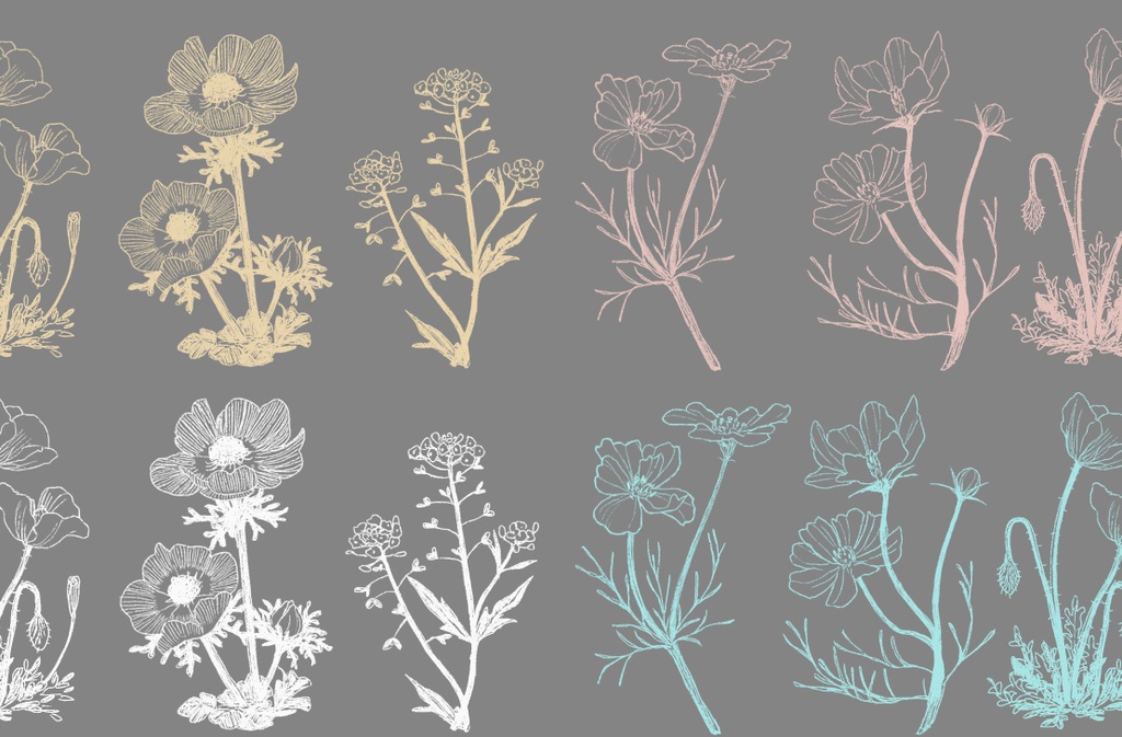 【APNG素材】風に揺れる花【無料版あり】