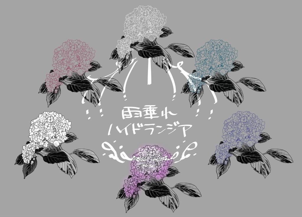 雨垂れハイドランジア