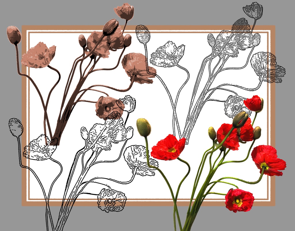 【花素材】hanabana