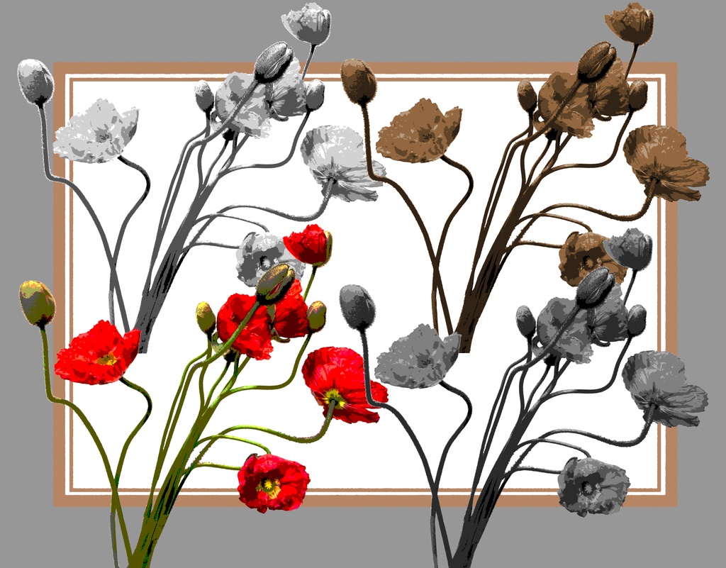 【花素材】hanabana