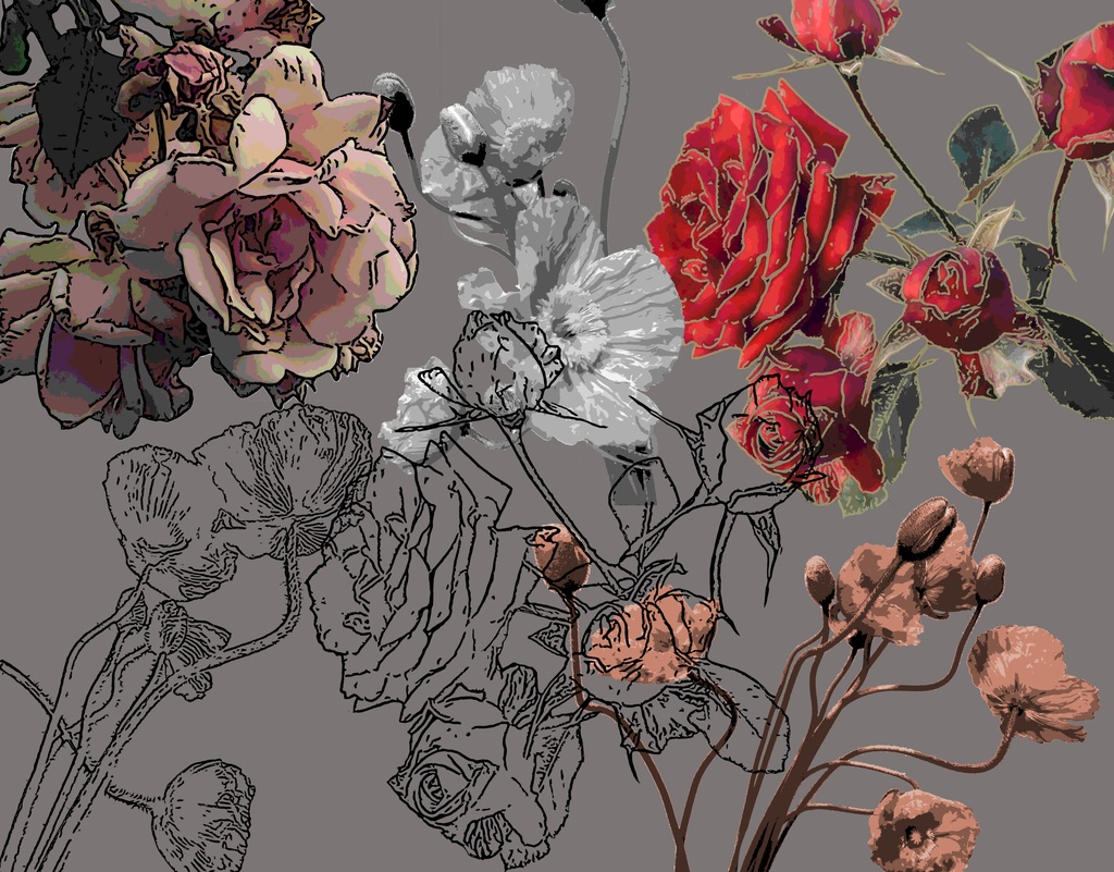 【花素材】hanabana