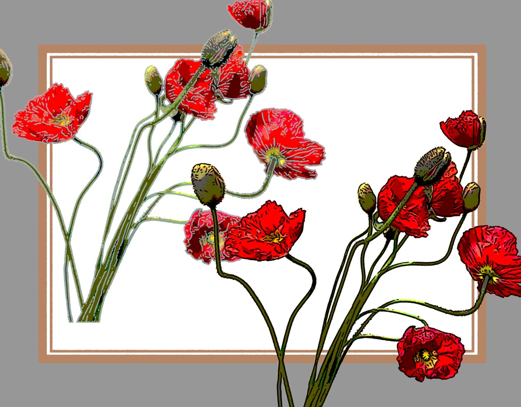 【花素材】hanabana