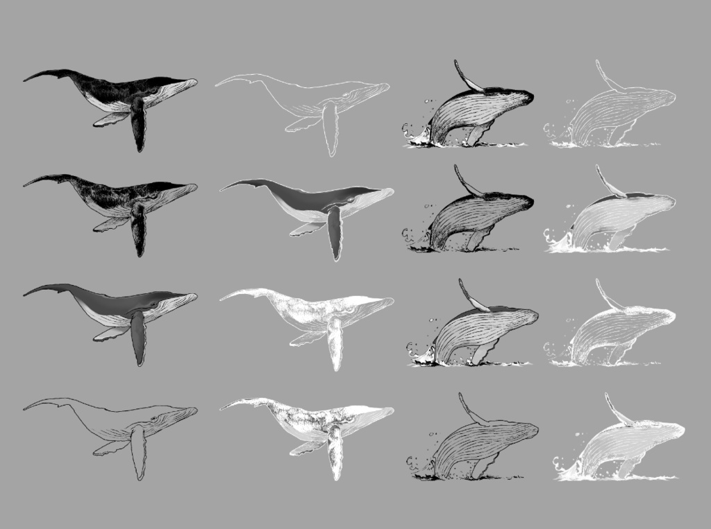 クジラがいっぴき、クジラがにひき