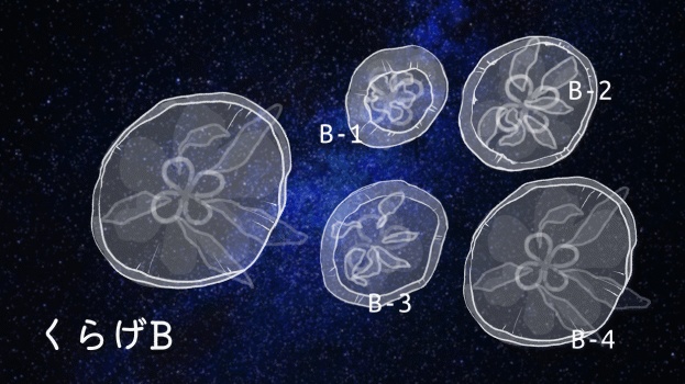 【APNG素材】くらげふわふわ