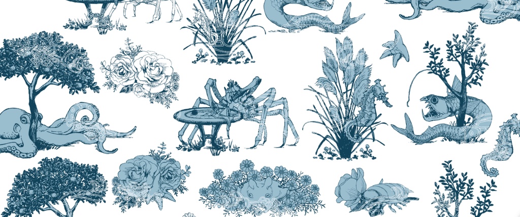 【TRPG素材】トワルドジュイ×海洋生物