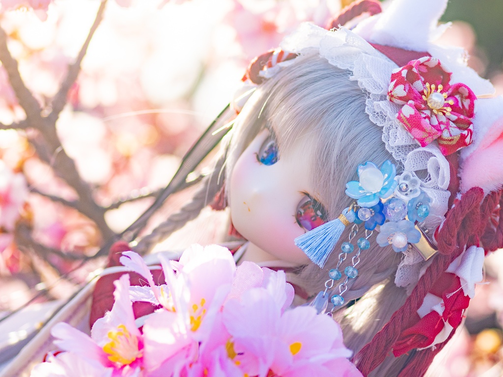 Sakura no Hanakasumi – 1/3・1/4 size (桜の花霞 – Color Variation)