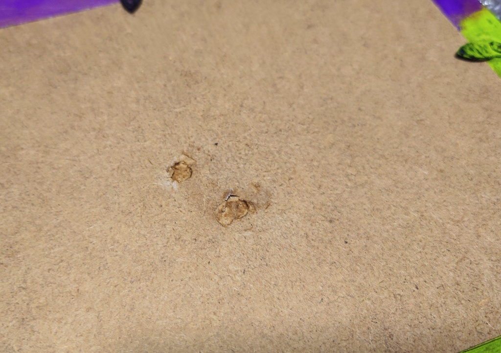 原画「毒のスープ」【魔法使いのアトリエ】