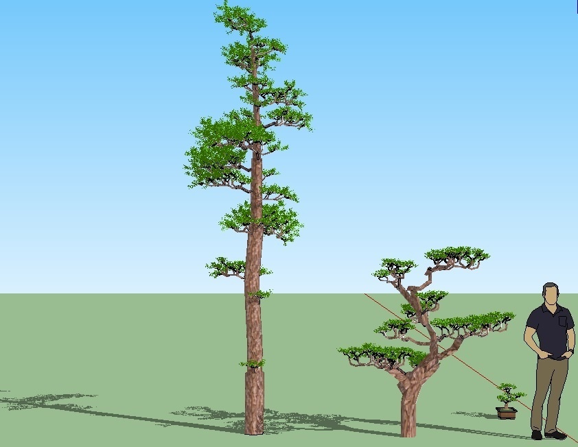 松（3種）　sketchup8