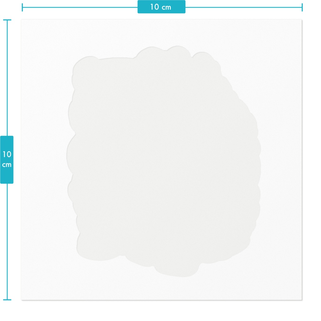 ハンマーヘッドシャーク