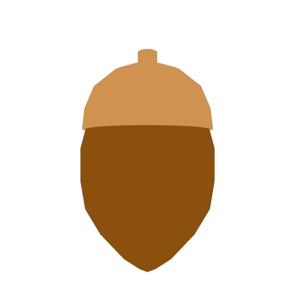 どんぐり