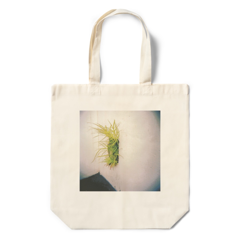 ECO BAG【C】
