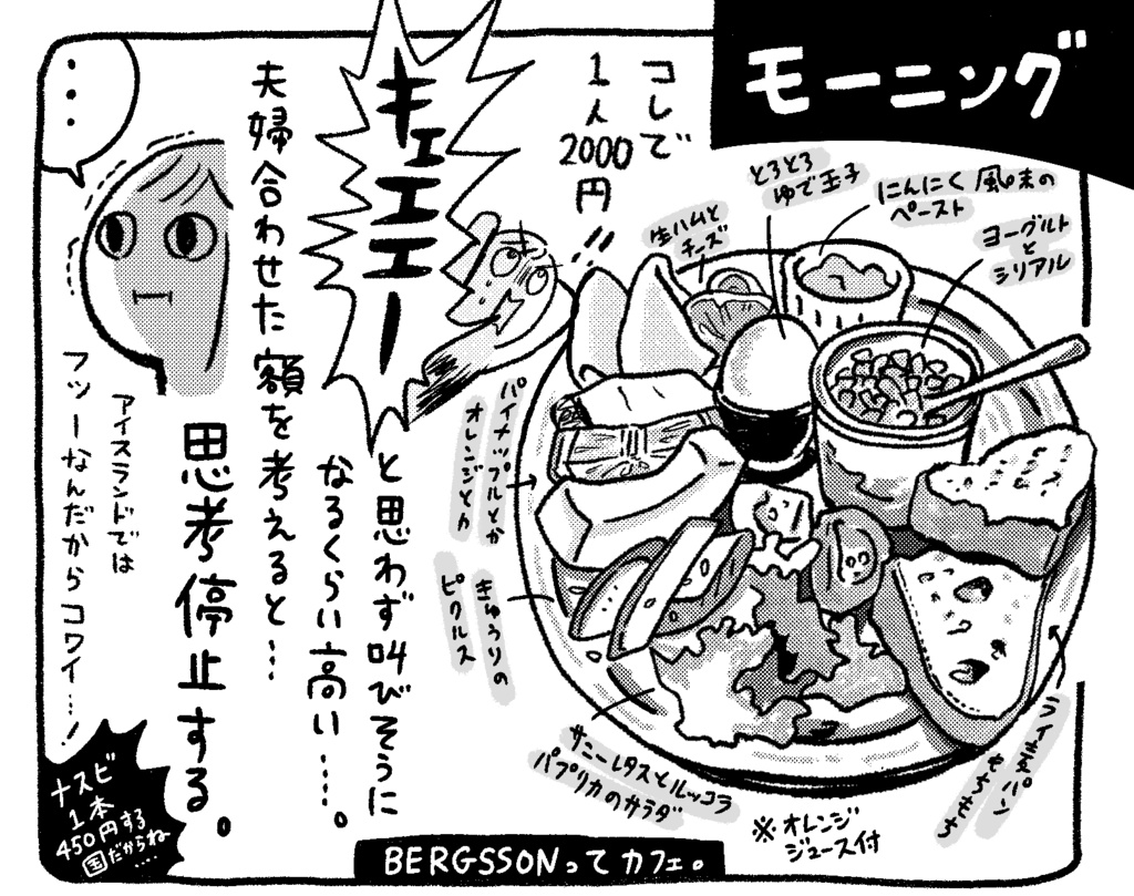 【pdf版】アイアイアイスランド