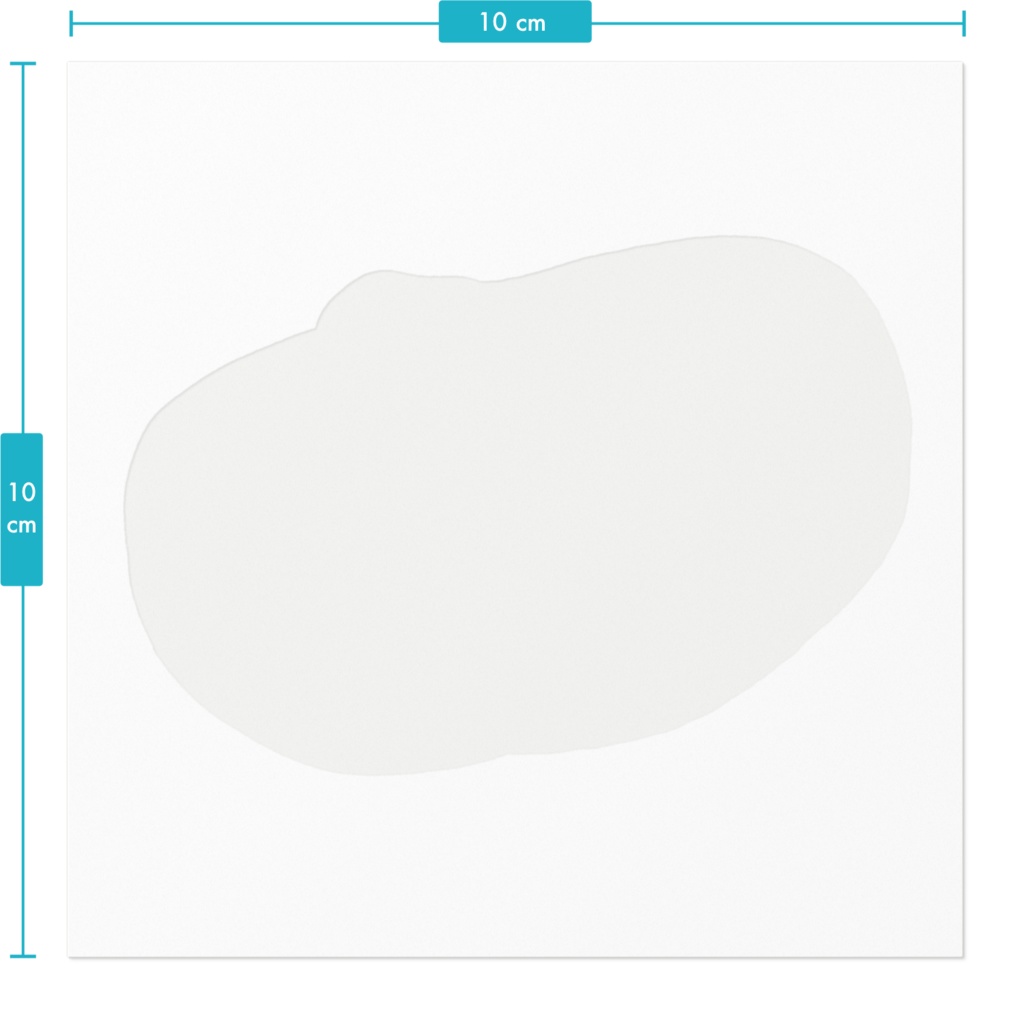 ボールパイソンステッカー