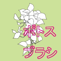 ポトスブラシ