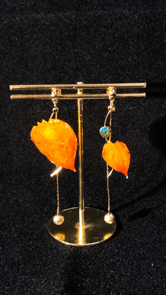 tears of regret［キャライメージ ピアス/イヤリング］