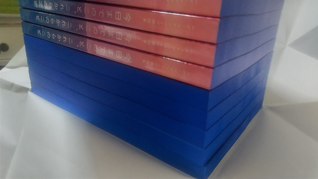 【ルサ再録】今日までのこと、これからのこと