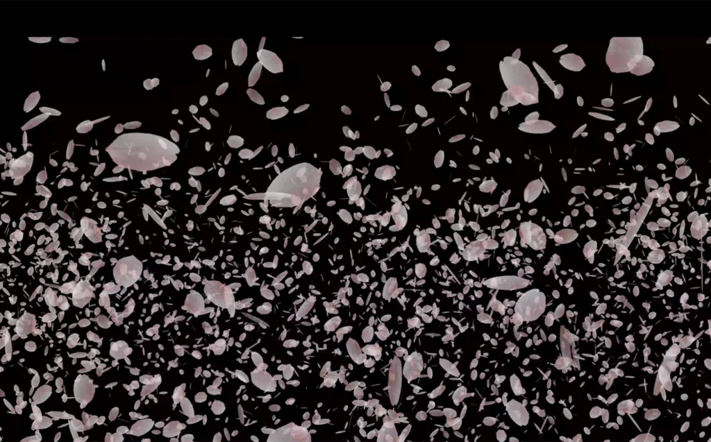 桜の花びら モーショングラフィックス_1 (MP4)