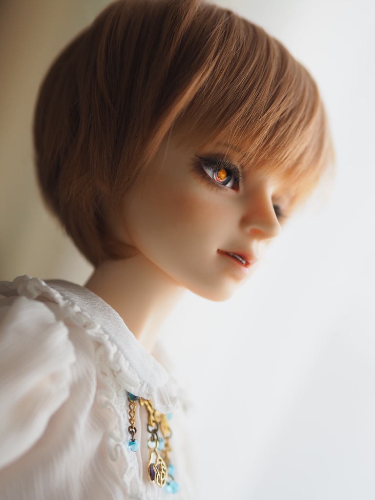 16mm/8mm 夕暮れに満月カッパータイプ 七宝グラスアイ