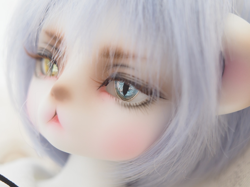 【B品】15.5mm/8-7mm 猫目イエロー×ブルーオッドアイ ジェムタイプ 七宝グラスアイ