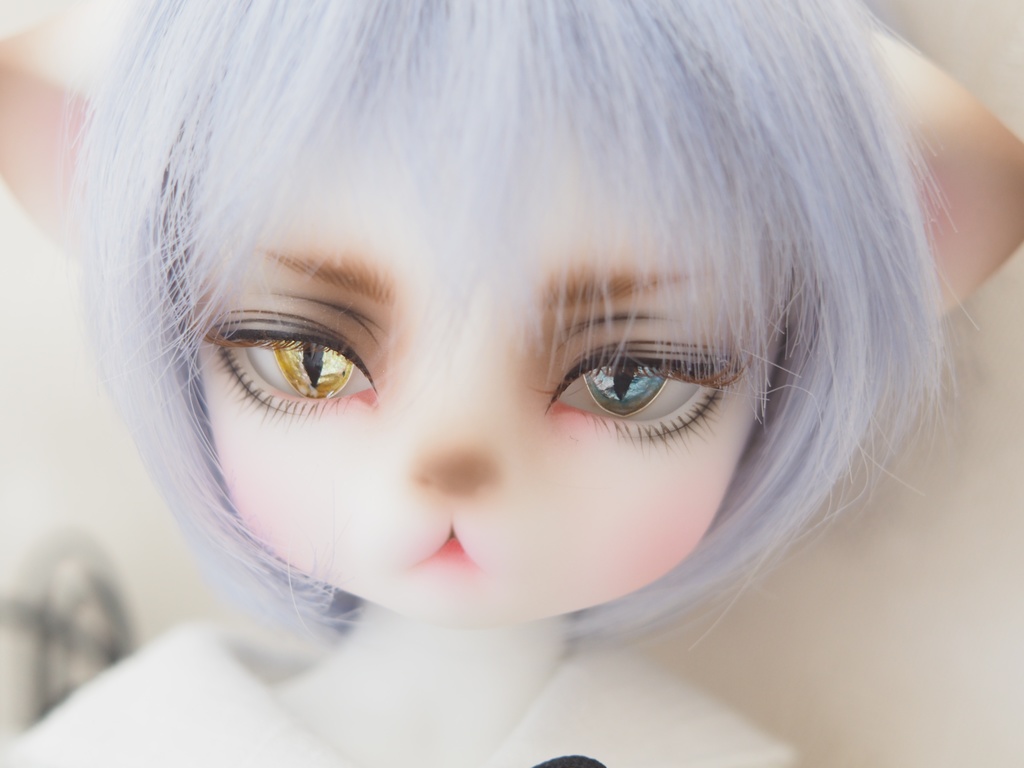 【B品】15.5mm/8-7mm 猫目イエロー×ブルーオッドアイ ジェムタイプ 七宝グラスアイ