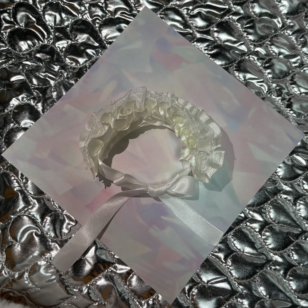 もちマス用ドレスカバー