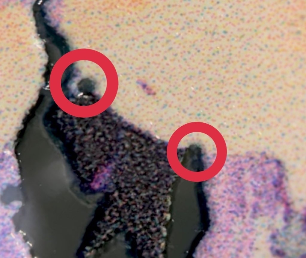 ナースちゃんアクキー※注意書有