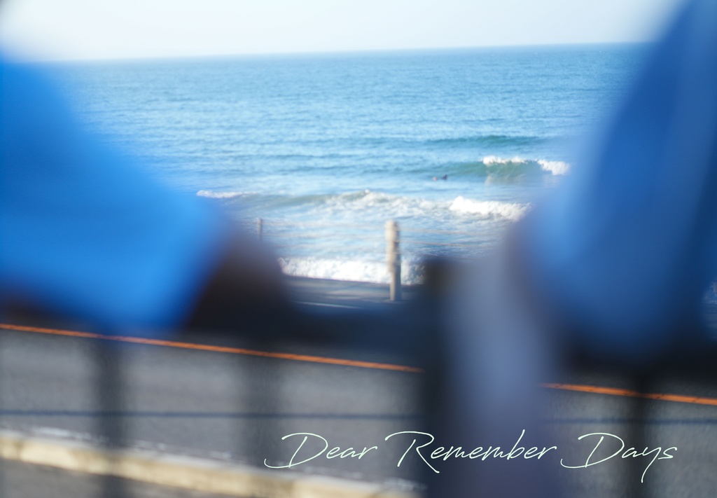 Dear Remember Days