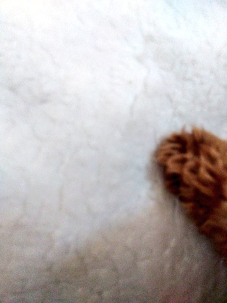 【予約終了しました!】寒い日のお供に!ふわふわボアブランケット!