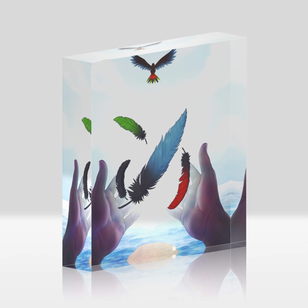 空から羽根が！