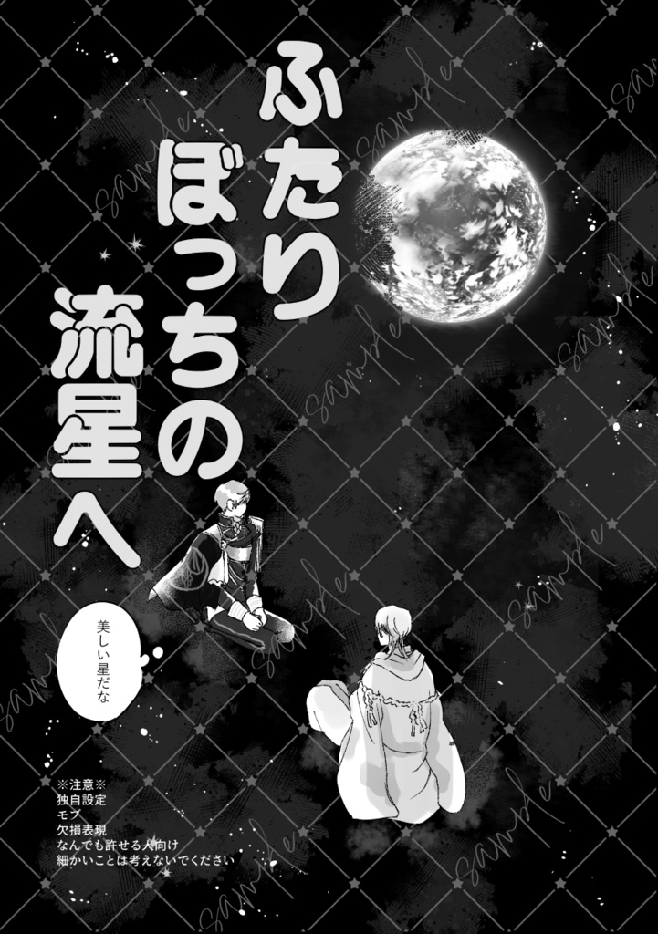 ふたりぼっちの流星へ