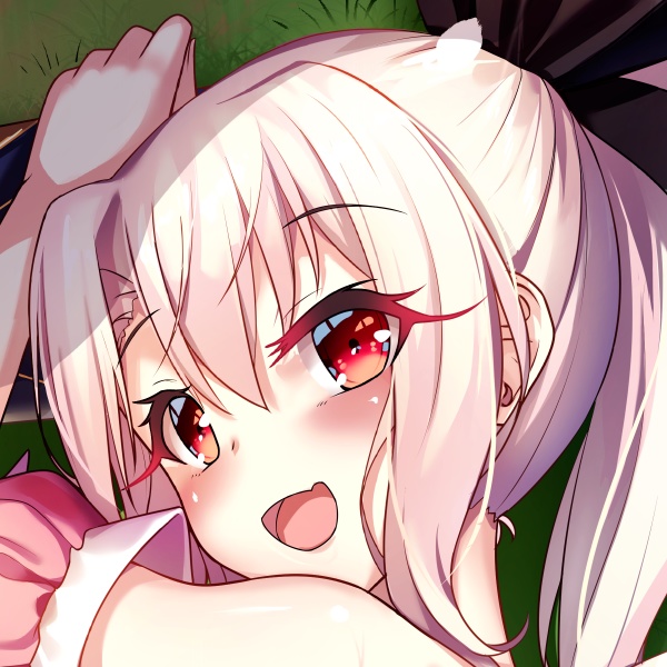 セイバー・リリィ〖プリズマ☆イリヤ〗抱き枕カバー全年齢版