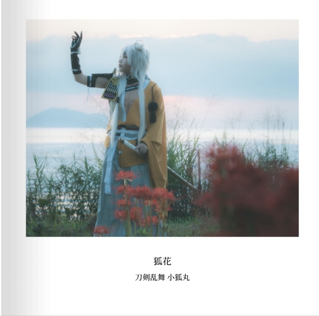 狐花