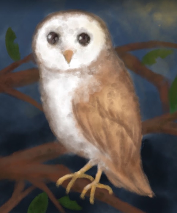 使い道のない画像