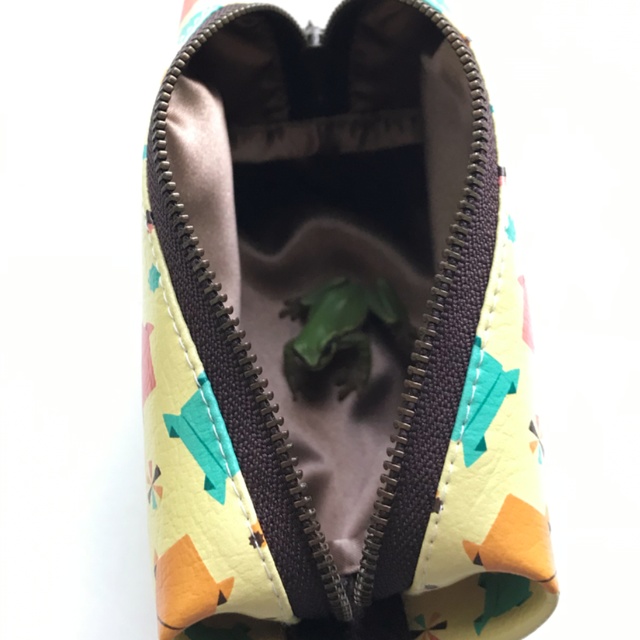 キャラメルポーチ 紙かわず