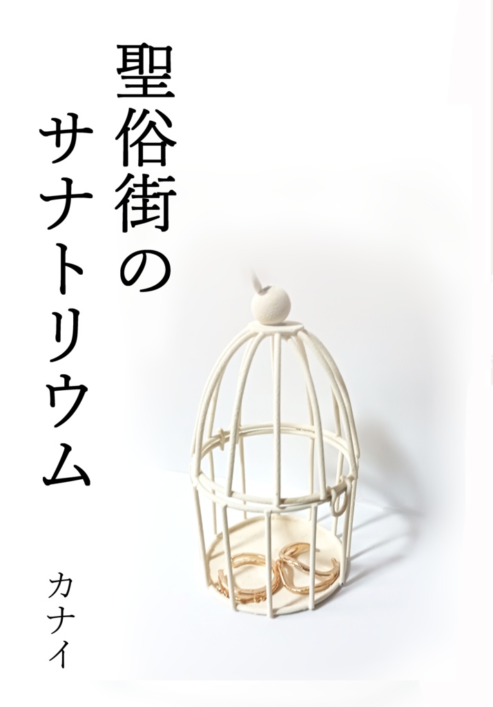 聖俗街のサナトリウム
