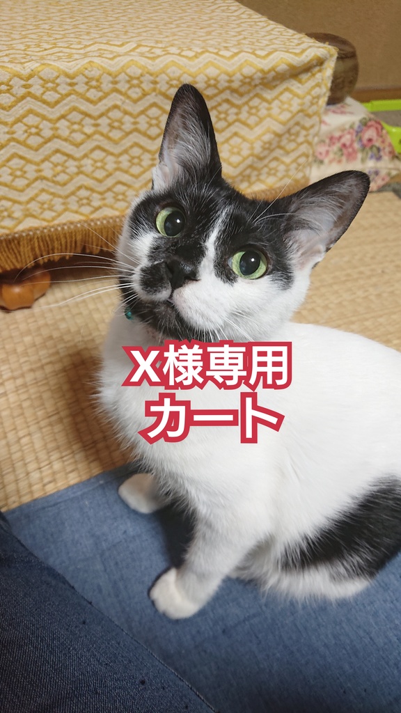 X様特別専用カート